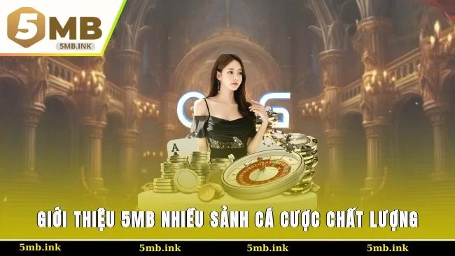 Giới thiệu 5MB nhiều sảnh cá cược chất lượng