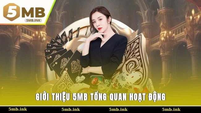 Giới thiệu 5MB tổng quan hoạt động